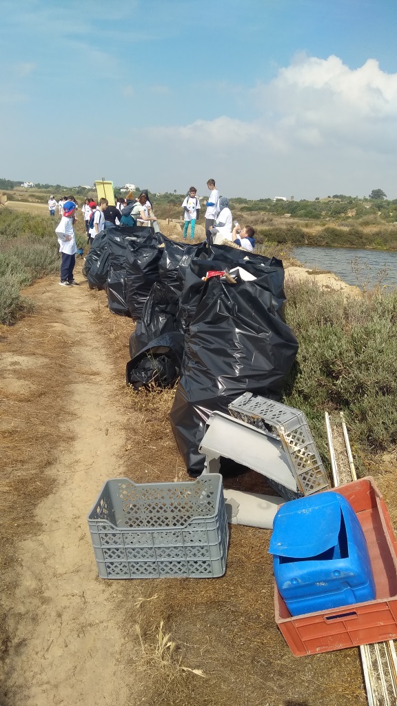 IMG 20190402 112336comp