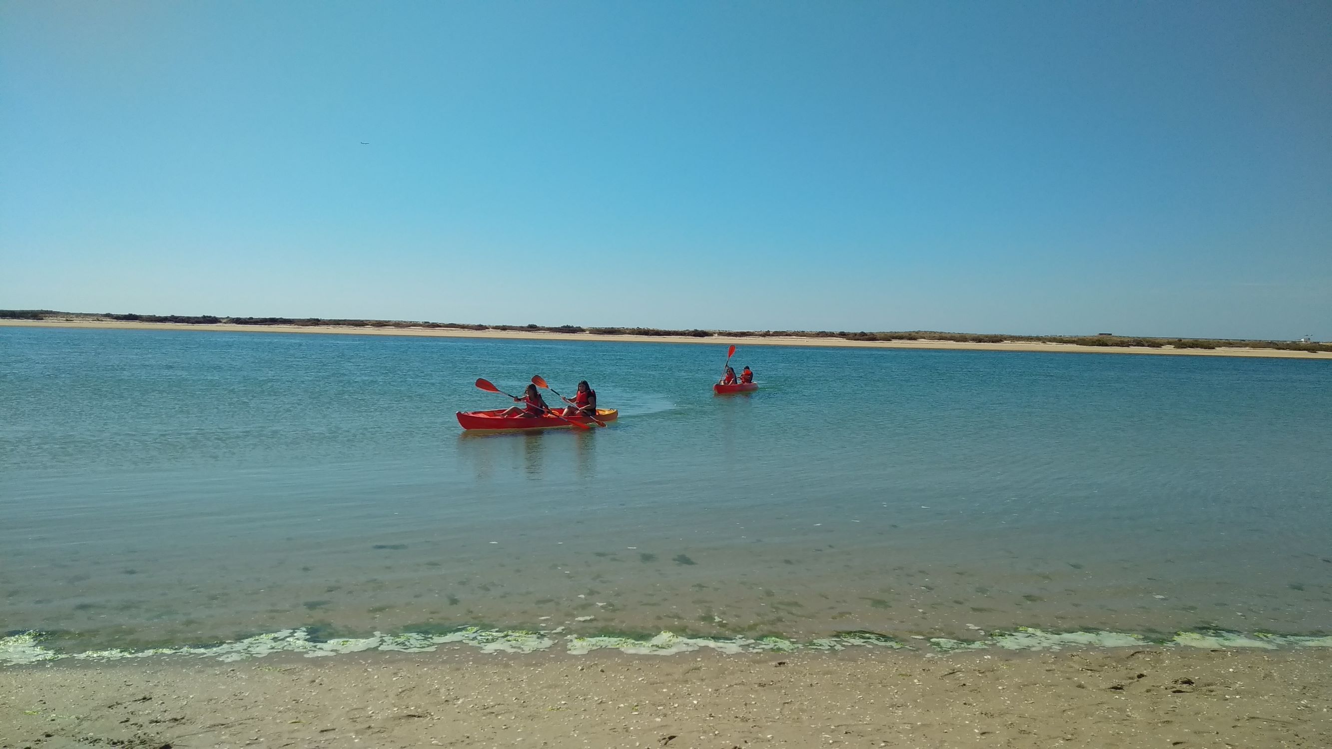 IMG 20190613 101023comp