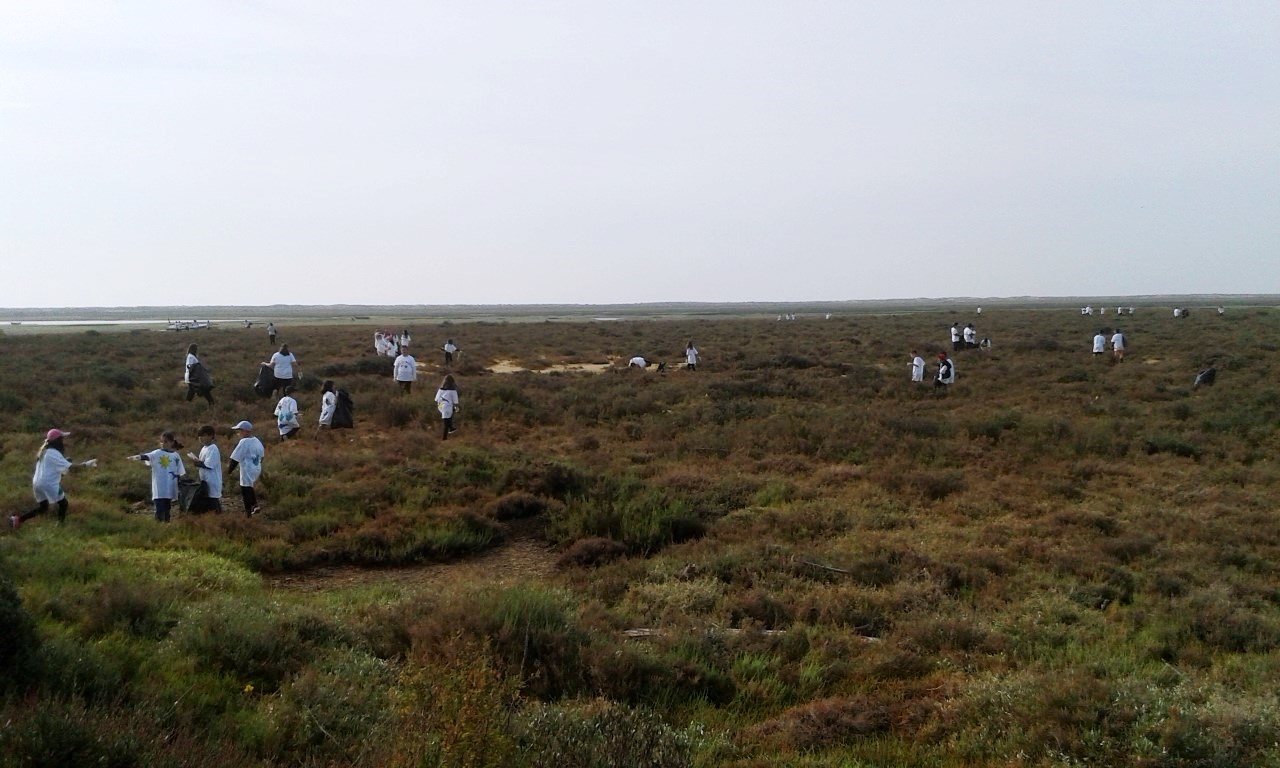 thumbnail 20190402 095621a