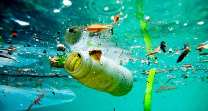 Encontro sobre ambiente em Olhão reúne professores de países europeus