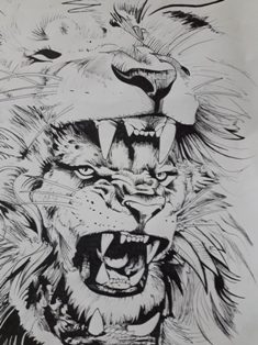 Concurso de Arte Algarve