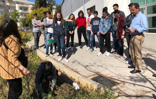 Dia Mundial da Árvore