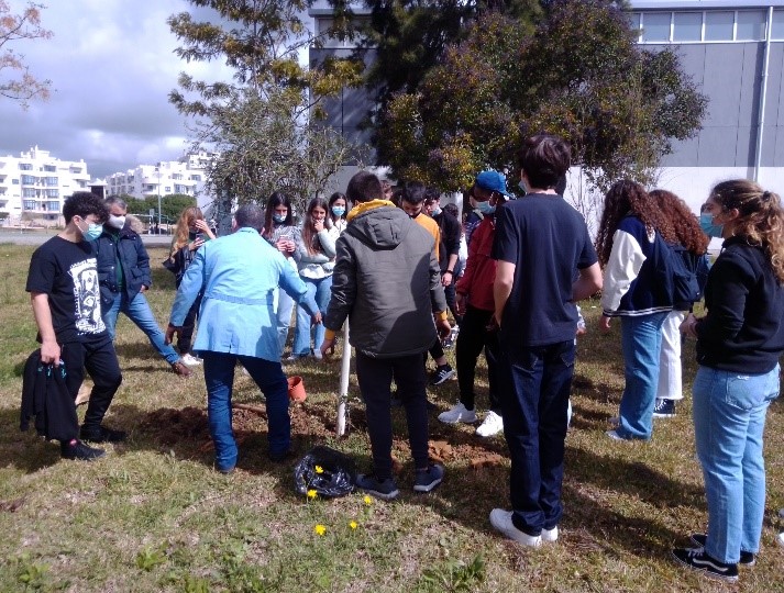 Dia Mundial da Árvore
